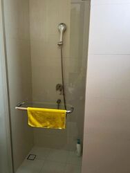Ascent @ 456 (D12), Apartment #639780521